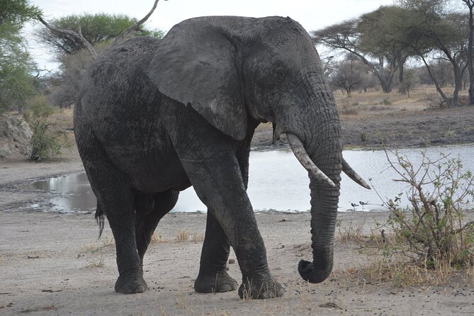 10-Day Amazing Comfort Camping Safari - Why this safari feels different