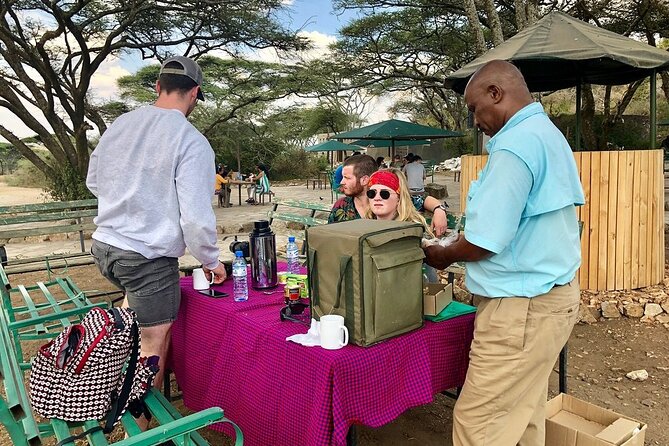 10-Day Amazing Comfort Camping Safari - Day 7: sunrise predators and the crater rim