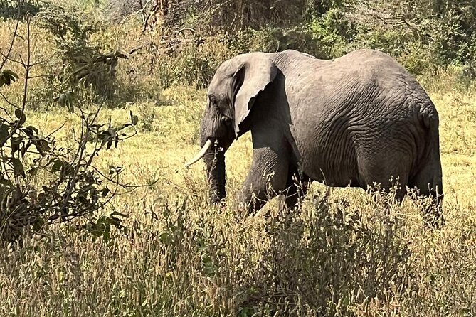 10 Day Serengeti, Ngorongoro Crater and Zanzibar Private Tour - Key points at a glance