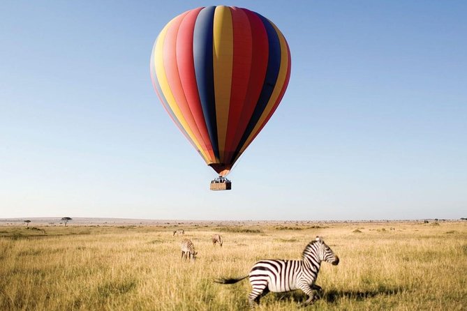 10 Days 8 Nights Tanzania Unforgettable Comfort Camping Safari - Day 8: Down into Ngorongoro Crater