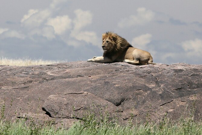 10 Days 9 Nights Exposure Africa Premium Safari Package - What You Get for $6,486