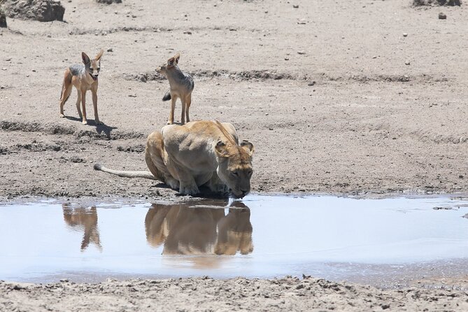 10 Days 9 Nights Exposure Africa Premium Safari Package - Two Days in Tarangire Bring Better Rhythm
