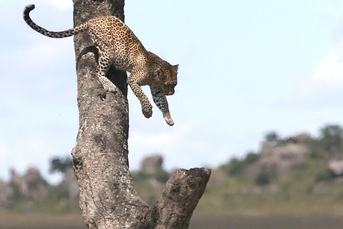 10 Days 9 Nights Exposure Africa Premium Safari Package - The Return to Arusha Is Deliberately Slow