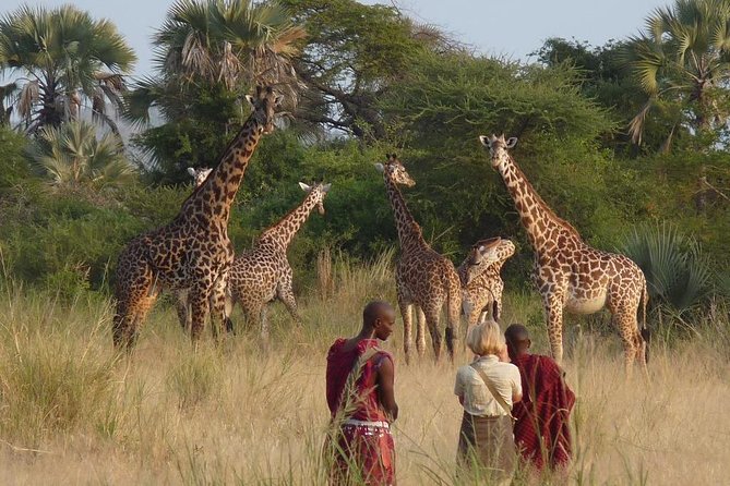 10 Days / 9 Nights Join group safari - Day 1: Arusha markets, culture, and a flexible arrival