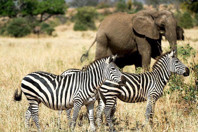 10 Days / 9 Nights Join group safari - Days 5 and 6: The remote Western Serengeti and Grumeti
