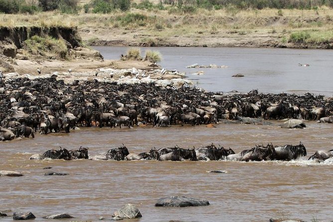 12 Days Amazing Tanzania Wildlife and Cultural Experience - Lake Eyasi Brings the Human Side of Tanzania Forward