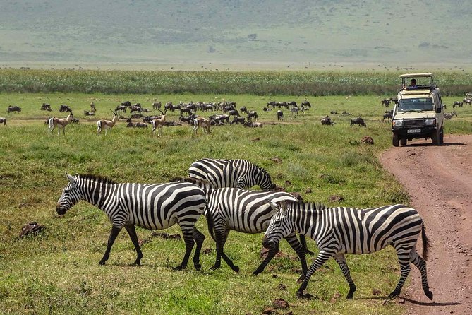 12 Days Amazing Tanzania Wildlife and Cultural Experience - Serengeti Is Given Enough Time to Matter