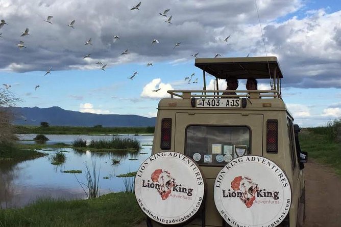 12 days Luxury Tanzania Honeymoon Safari and Zanzibar - Day 1: Arriving in Arusha