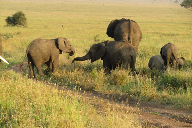 12 Days Safari Tour around Mt Kilimanjaro off the beaten - Day 3: Enduimet and the southern view of Kilimanjaro