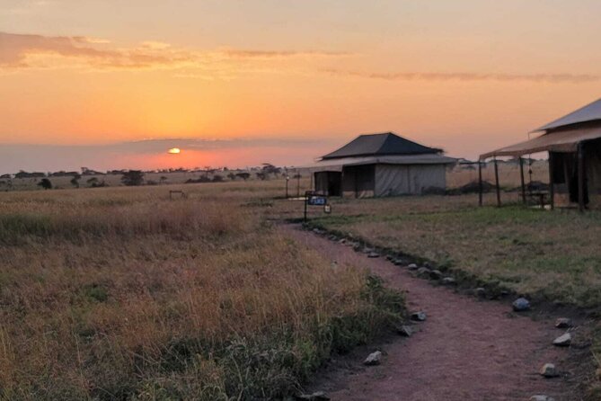 12 Days Safari Tour around Mt Kilimanjaro off the beaten - Days 4 and 5: Two useful days in Mkomazi National Park