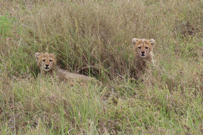 12 Days Safari Tour around Mt Kilimanjaro off the beaten - Day 6: Returning through Moshi to Arusha