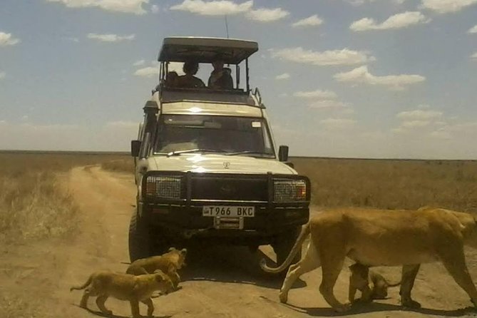 12 Days Wildlife Safaris And Culture Tour - Lake Manyara packs forest, water, and wildlife into one day