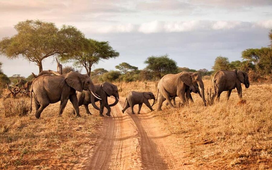 2 DAY-ADVENTURE SAFARI IN TANZANIA - Day one: the road from Arusha to Tarangire