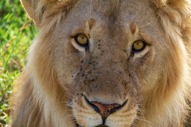 2-Day Private Guided Tour to Tarangire and Ngorongoro - Why this two-day route works