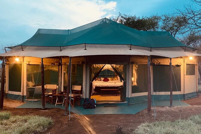 2-Day Private Guided Tour to Tarangire and Ngorongoro - Day 1: From Arusha to Tarangire’s elephant country