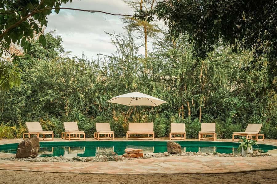 2-Day Private Luxury Safari from Zanzibar with Flights - Key points to know before booking