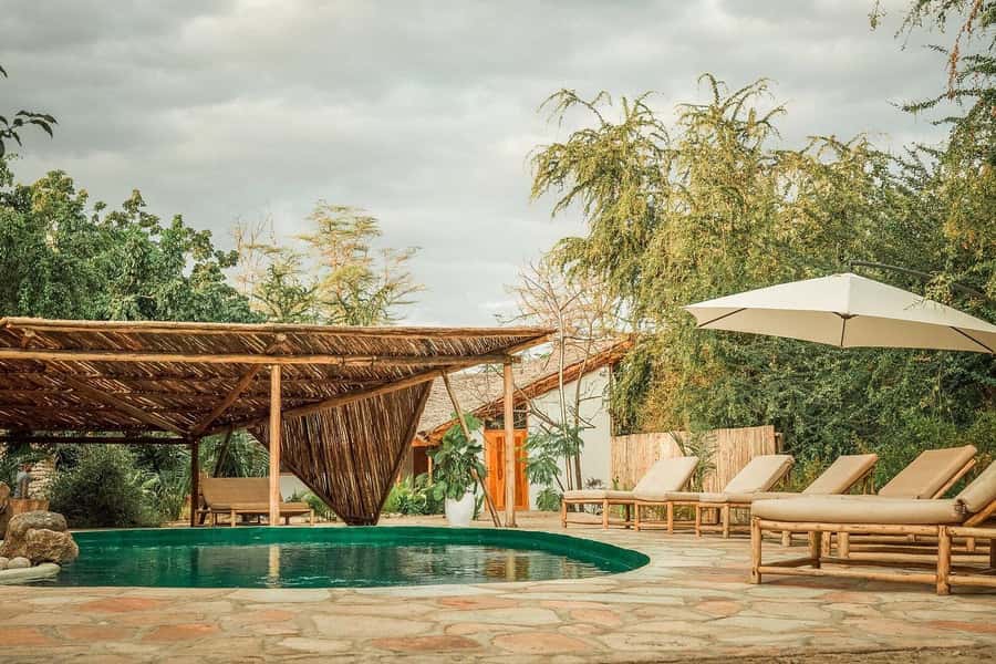 2-Day Private Luxury Safari from Zanzibar with Flights - Why this Zanzibar safari works in only two days
