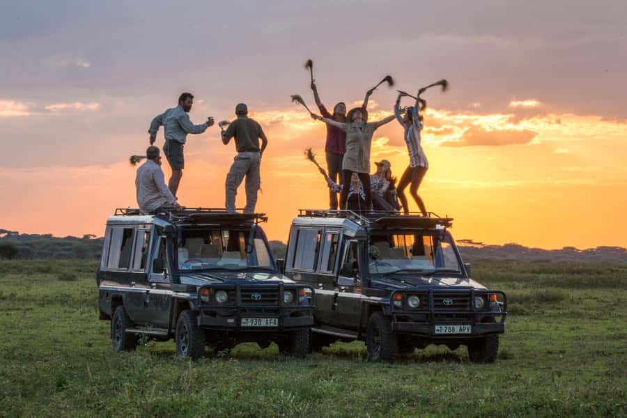 2-Day Private Luxury Safari from Zanzibar with Flights - Tarangire National Park and its elephant herds