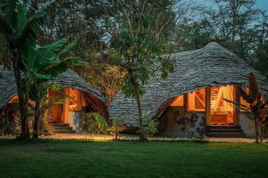 2-Day Private Luxury Safari from Zanzibar with Flights - The return to Zanzibar and what the price includes