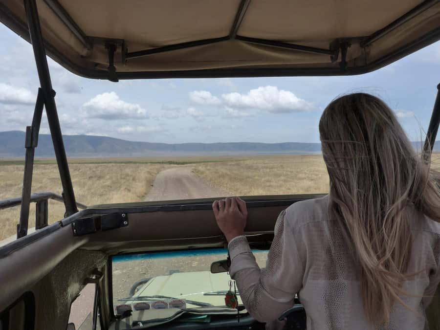 2-Day Private Luxury Safari from Zanzibar with Flights - Who will get the most from this safari