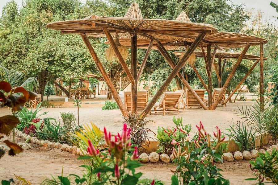 2-Day Private Luxury Safari from Zanzibar with Flights - Practical ways to make the two days better