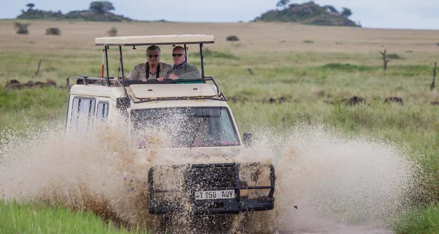 2-Day Private Luxury Safari from Zanzibar with Flights - Should you book this Zanzibar safari?