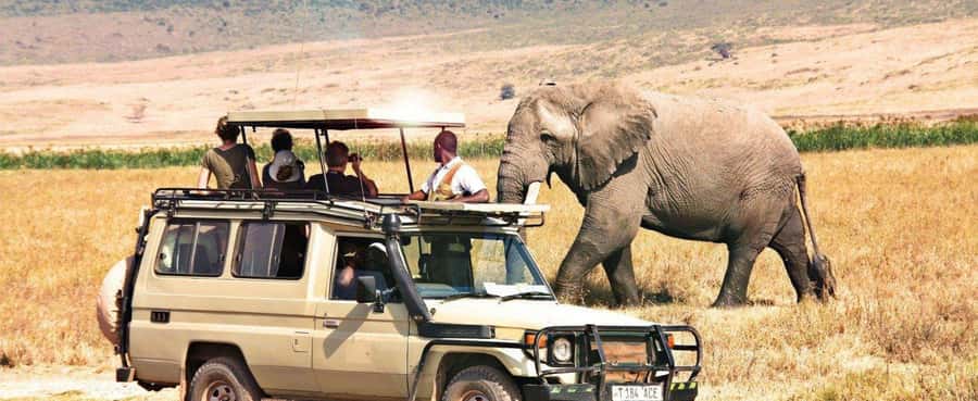 2-Day Private Luxury Safari from Zanzibar with Flights - From Zanzibar to Tarangire by air