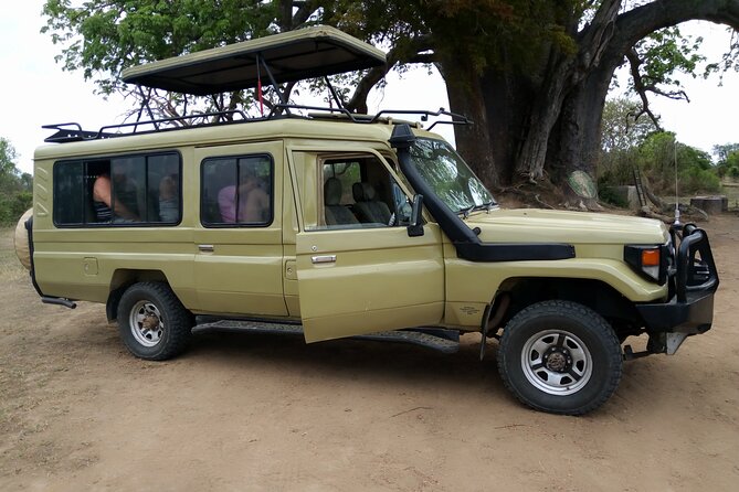 2-Day Private Mikumi National Park Tour with Pickup - Why the early morning safari matters