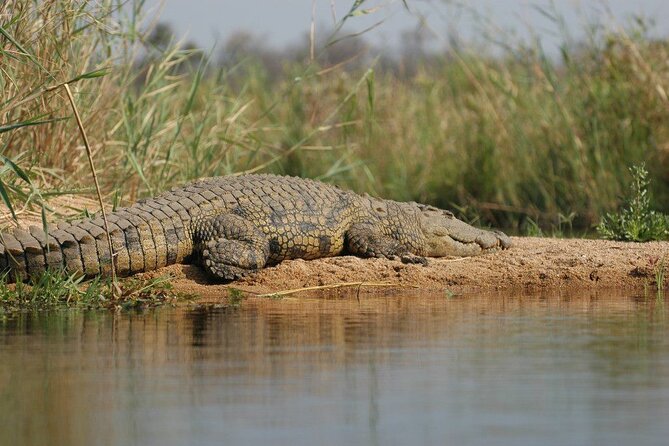 2-Day Private Mikumi National Park Tour with Pickup - The return to Dar es Salaam