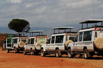 2 Day Serengeti Safari Experience from Mwanza