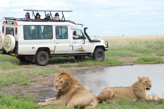 2 Day Serengeti Safari Experience from Mwanza - The guide can make or break the day
