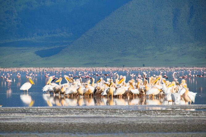 2 Day Tanzania Safari Tarangire and Ngorongoro Crater Adventure - Tarangire’s elephants and baobabs