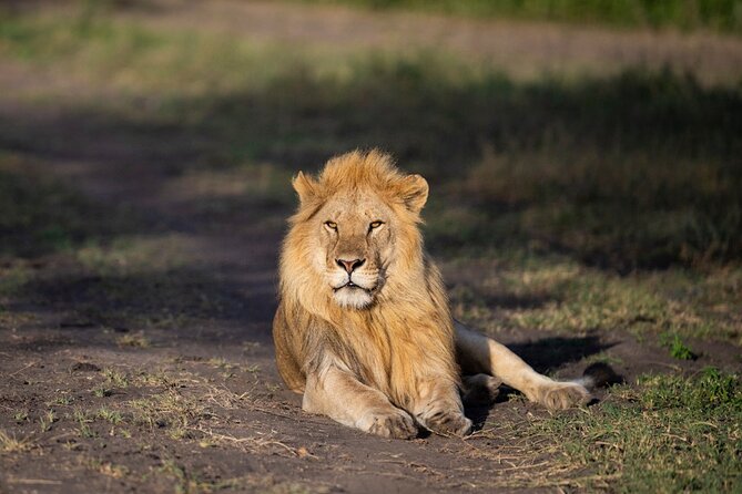 2 Day Tanzania Safari Tarangire and Ngorongoro Crater Adventure - Descending into Ngorongoro Crater