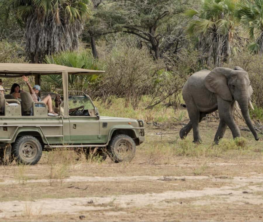 2 Day Zanzibar to Nyerere NP (Selous GR) By Flight - From Zanzibar to Mtemere Airstrip