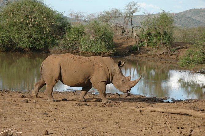 2 Days / 1 Night Join group safari - Overnight at Sunbright Hotel or Similar