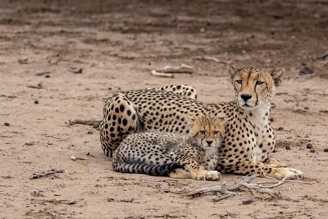 2 Days / 1 Night Join group safari - Ngorongoro Crater’s 600-Meter Descent