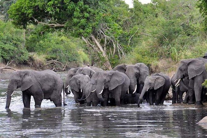 2 Days / 1 Night Join group safari - What the Wildlife Time Really Means