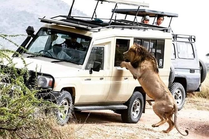 2 Days / 1 Night Join group safari - The Four-Hour Road to Lake Manyara