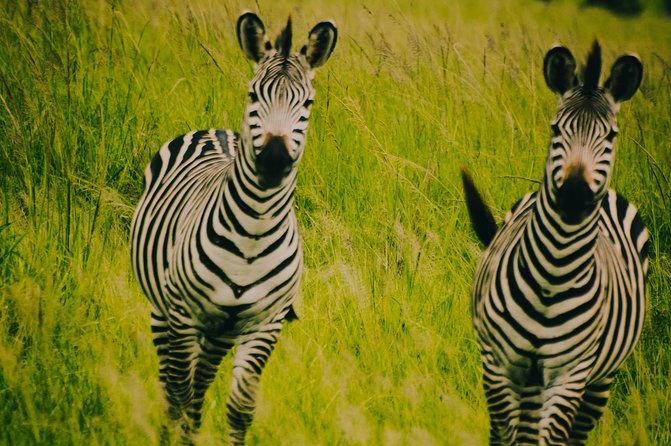 2 Days 1 Night Mikumi National Park from Dar es salaam - The return through Morogoro to Dar es Salaam
