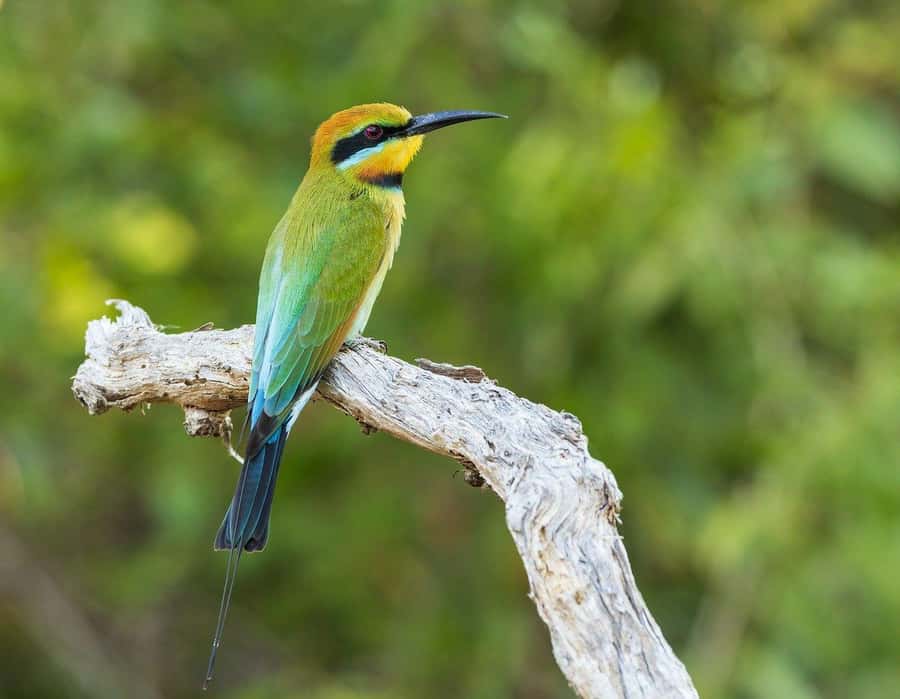 2 days 1 night Nyerere national park Flight from Zanzibar - What the $840 price really includes