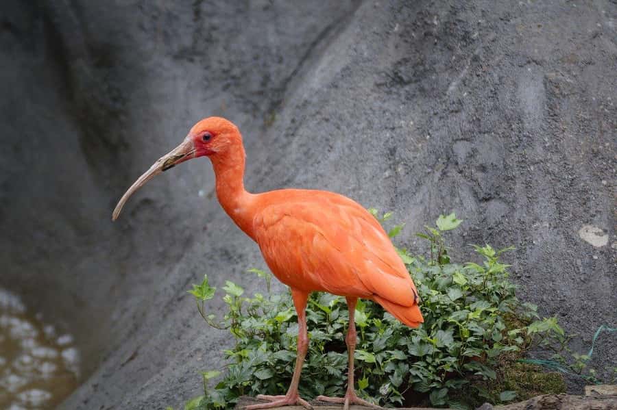 2 days 1 night Nyerere national park Flight from Zanzibar - Who should book this safari