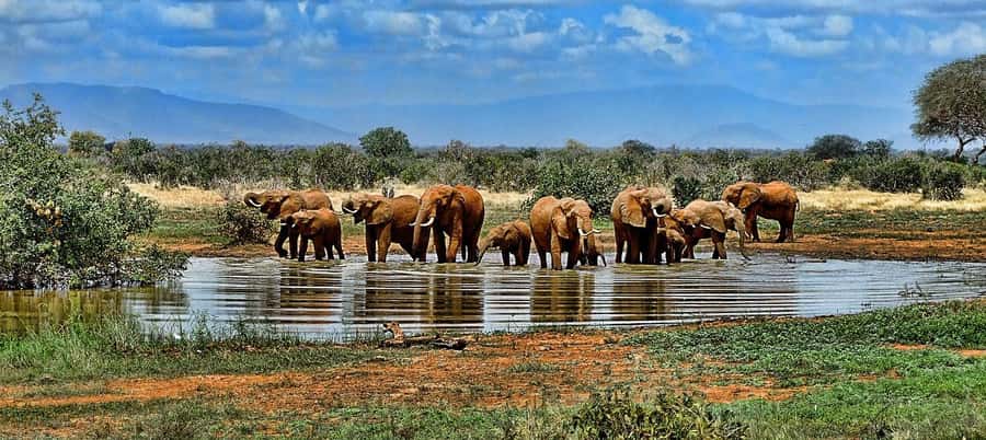 2 days 1 night Nyerere national park Flight from Zanzibar - Flying from Zanzibar to Mtemere Airstrip