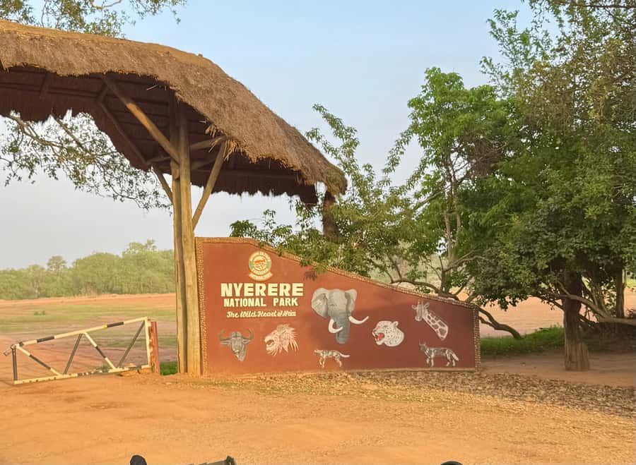 2 days 1 night Nyerere national park from Zanzibar by flight - Key points to know before booking