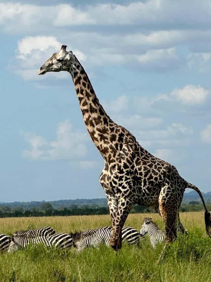 2 days 1 night Nyerere national park from Zanzibar by flight - Why flying from Zanzibar changes the safari