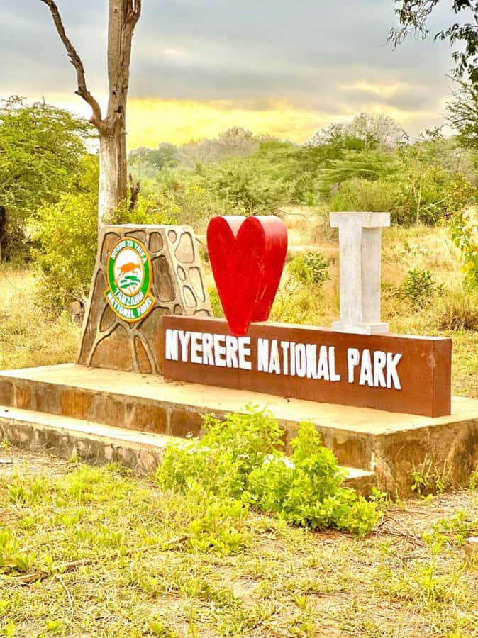 2-Days 1-Night Nyerere National Park from Zanzibar by flight - A full-day game drive through Nyerere National Park