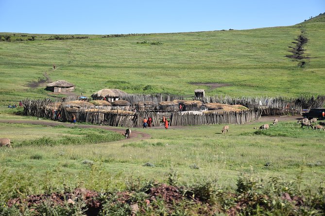2 Days / 1 Night Tanzania Safari Tour - Dinner and the overnight stay at Fig Tree Lodge