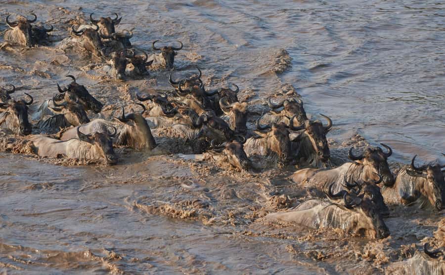 2 Days 1 Night Tarangire & Ngorongoro Crater - Key points to know before booking