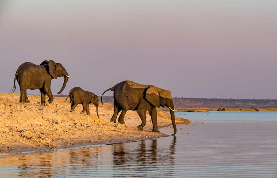 2 Days 1 Night Tarangire & Ngorongoro Crater - Why this two-day safari works from Arusha