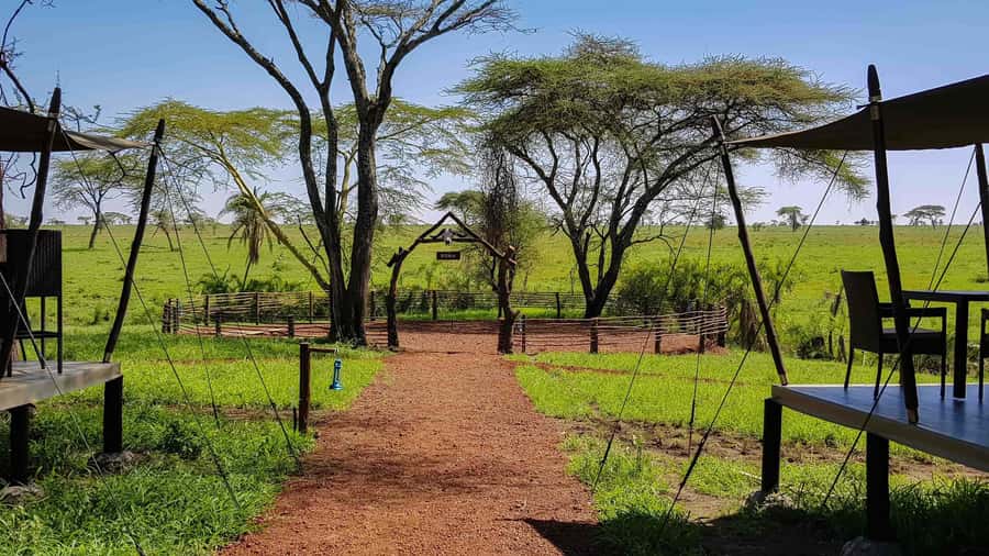 2 Days 1 Night Tarangire & Ngorongoro Crater - Day two: the 6:30 AM descent into Ngorongoro Crater