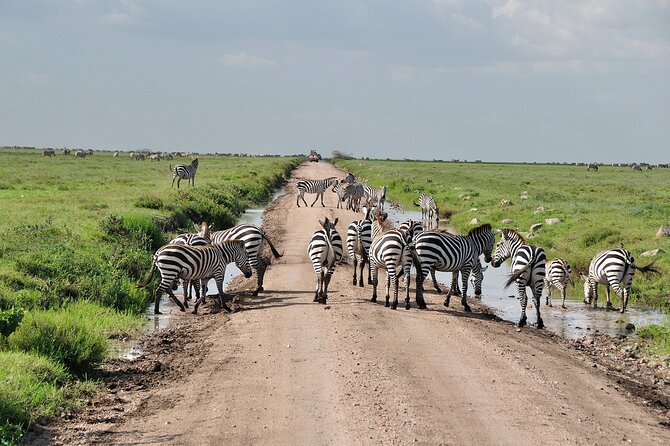 2 Days Camping Group Joining Tarangire Ngorongoro Crater Safari - Key points to know before booking